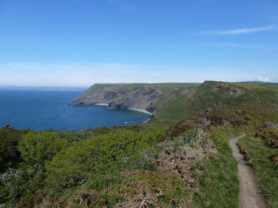 Lower Tresmorn Farmhouse Crackington Haven Extérieur photo