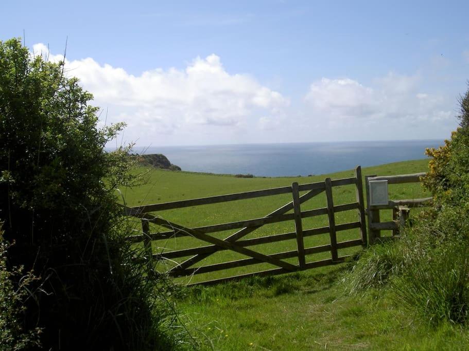 Lower Tresmorn Farmhouse Crackington Haven Extérieur photo