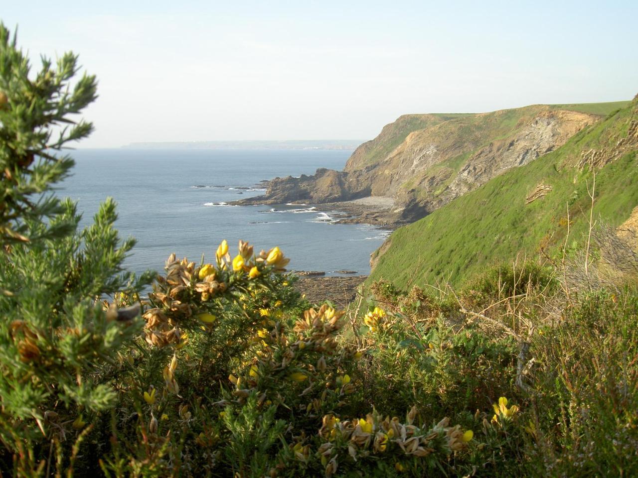 Lower Tresmorn Farmhouse Crackington Haven Extérieur photo