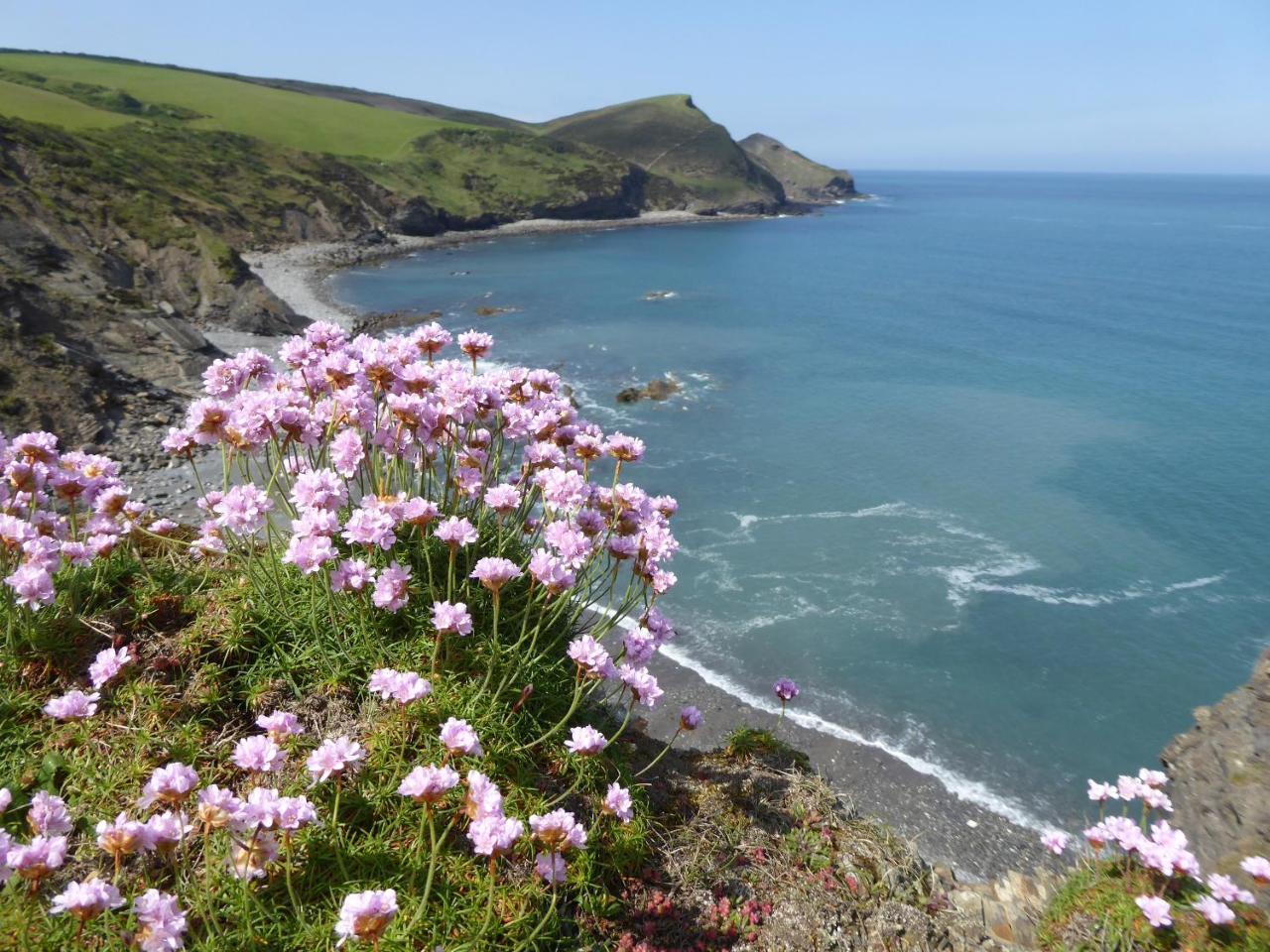 Lower Tresmorn Farmhouse Crackington Haven Extérieur photo