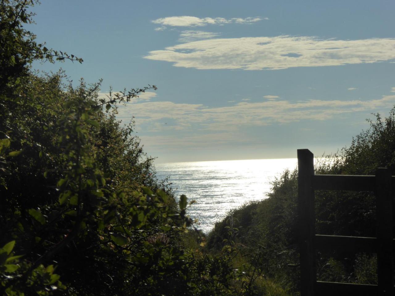 Lower Tresmorn Farmhouse Crackington Haven Extérieur photo