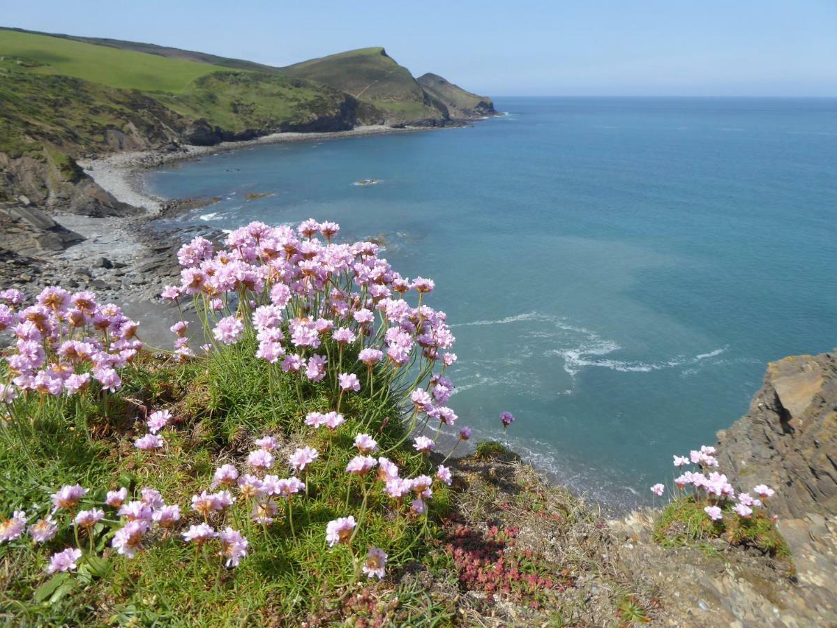 Lower Tresmorn Farmhouse Crackington Haven Extérieur photo